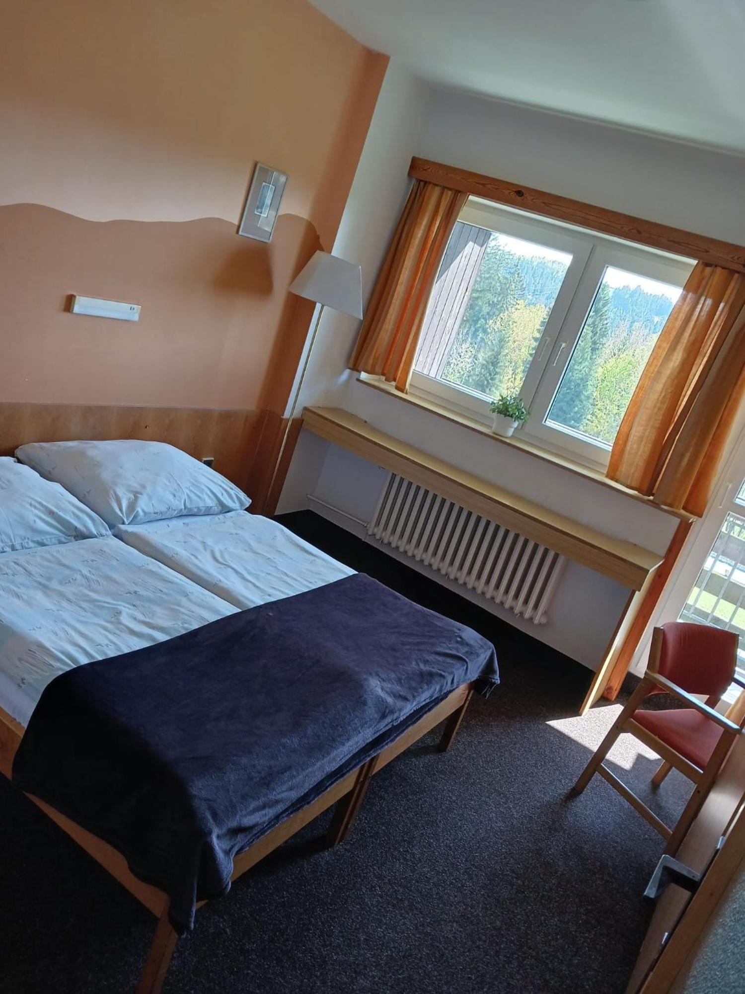 Hotel Albert - Retro Paseky nad Jizerou Eksteriør billede