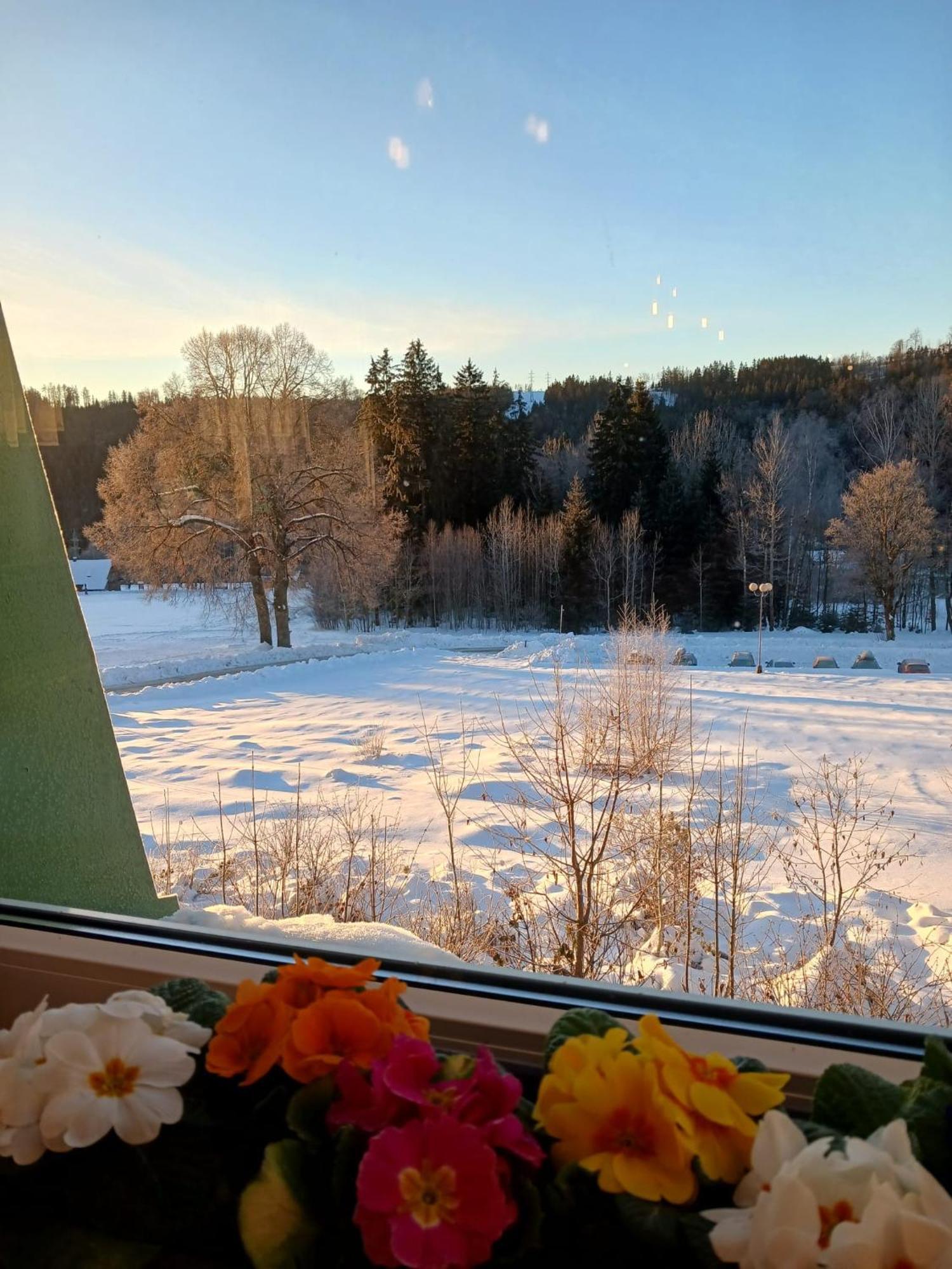 Hotel Albert - Retro Paseky nad Jizerou Eksteriør billede